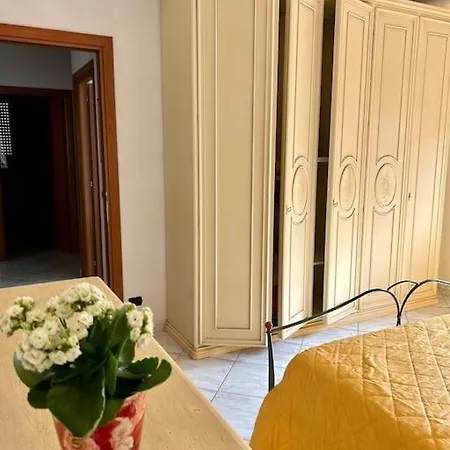 Iunr8823 Florinas